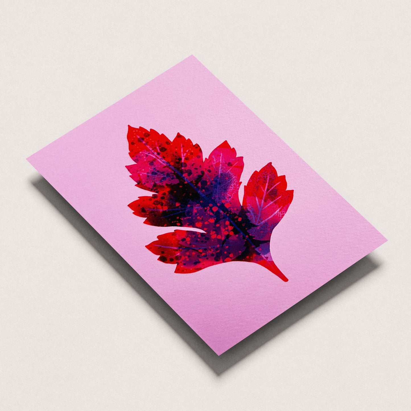 Hawthorn Leaf