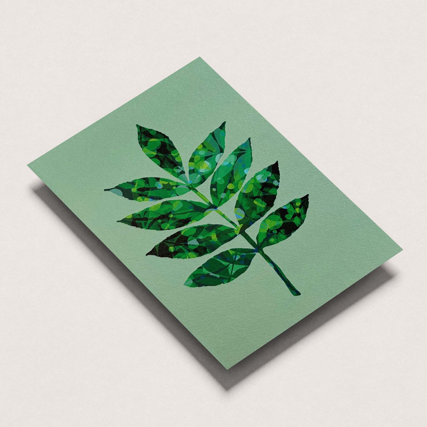 Ash Leaf