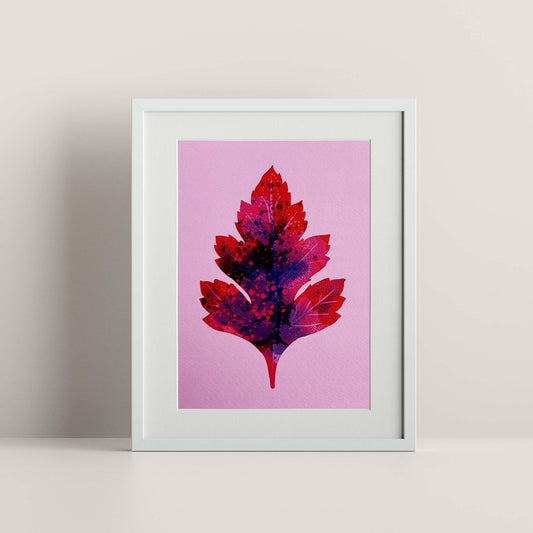 Hawthorn Leaf