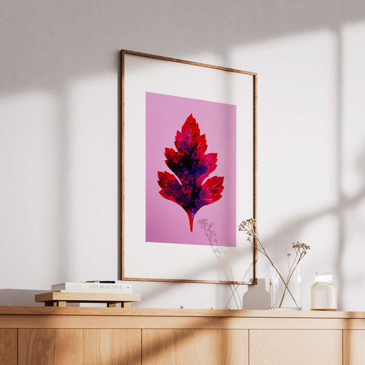 Hawthorn Leaf